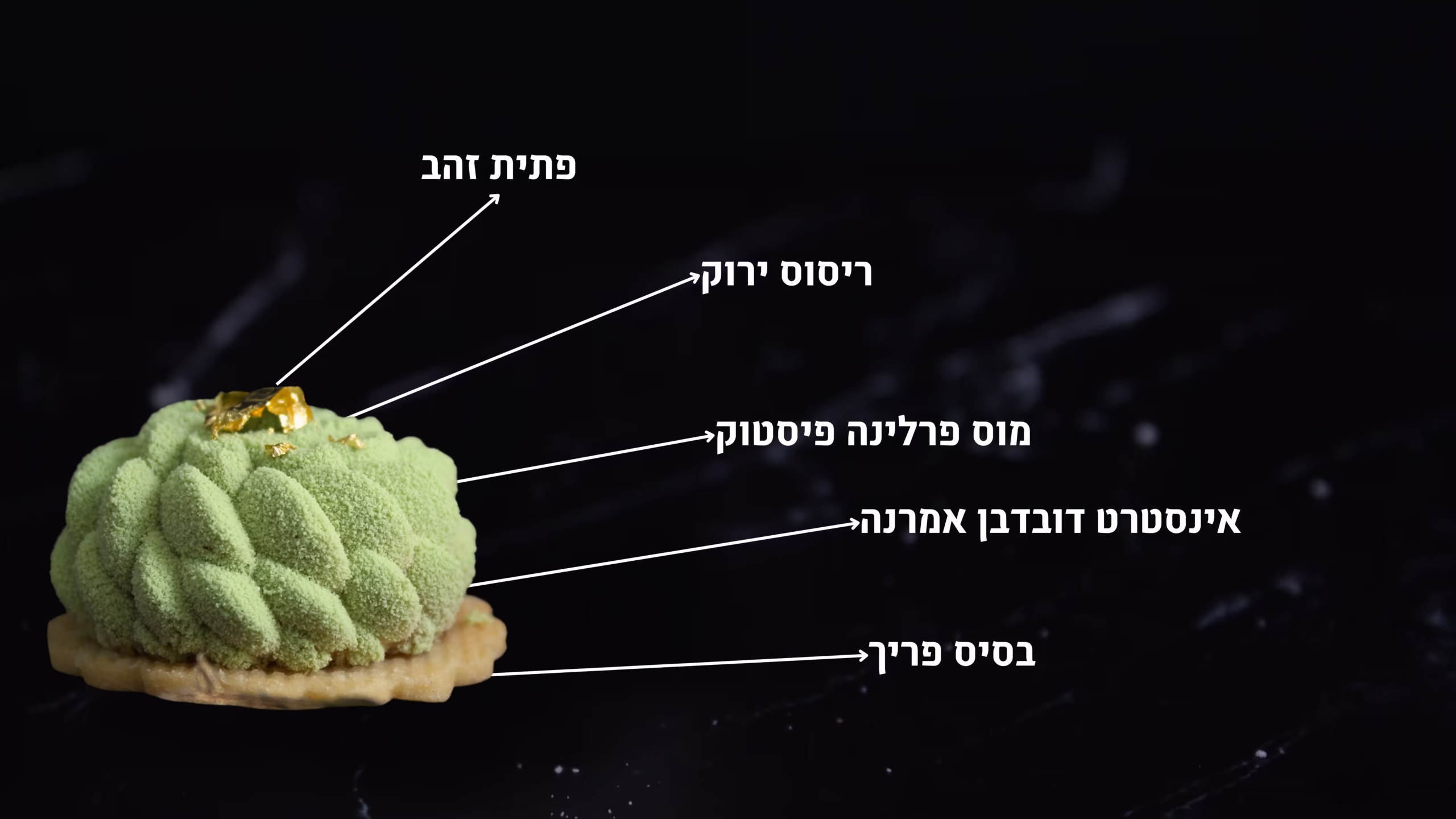פטיפור פיסטוק אמרנה